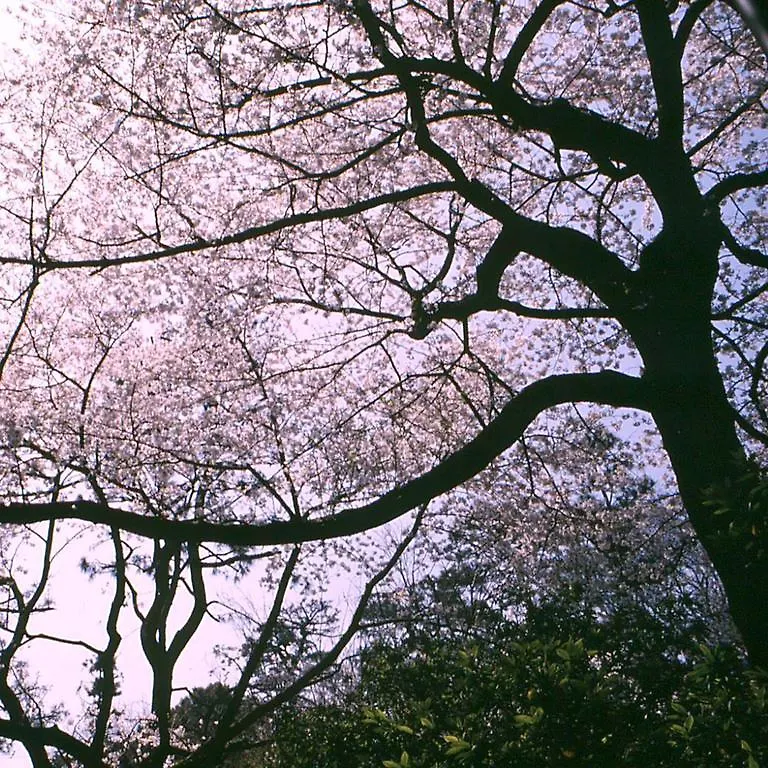 Tokyo Marriott Hotel